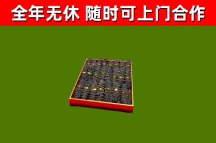 黄梅烟酒回收海参.jpg